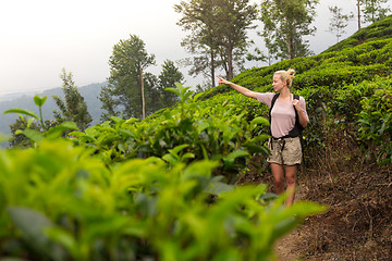 Image showing Active caucasian blonde woman enjoing fresh air and pristine nature while tracking among tea plantaitons near Ella, Sri Lanka. Bacpecking outdoors tourist adventure