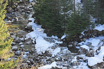 Image showing Creek