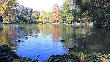 Image showing Pond Lake Rome