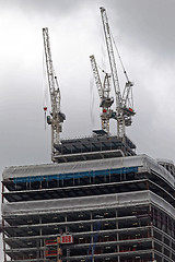 Image showing Skyscraper Cranes