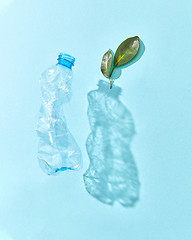 Image showing Green plant and crumpled plastic bottle with shadows.