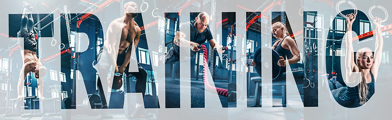 Image showing Collage about exercises in the fitness gym.