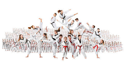 Image showing The collage about group of kids training karate martial arts