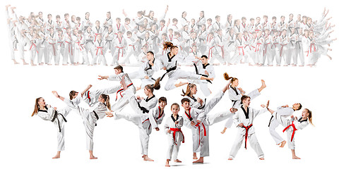 Image showing The collage about group of kids training karate martial arts