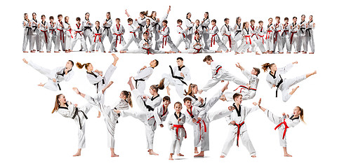 Image showing The collage about group of kids training karate martial arts