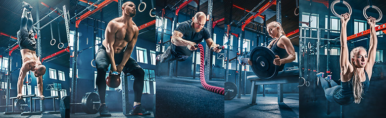 Image showing Collage about exercises in the fitness gym.