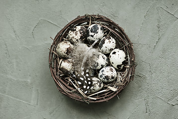 Image showing quail eggs