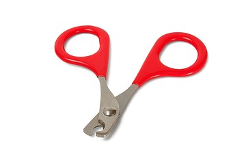 Image showing Cat nail clippers  on white