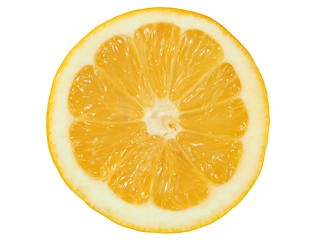 Image showing Lemon slice on white