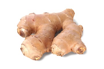 Image showing Ginger root on white