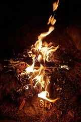 Image showing Camp Fire Flames