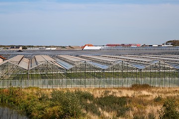 Image showing Greenhouse agricultural production