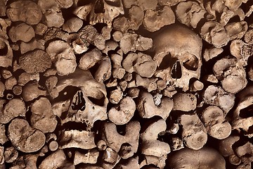 Image showing Skulls and bones in a wall