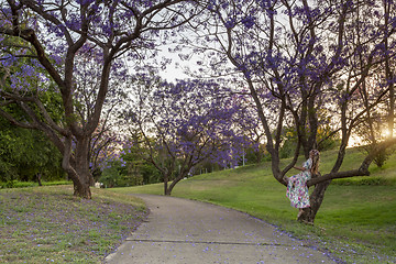 Image showing Female looking up at the Jacaranda trees blooming in vibrant pur