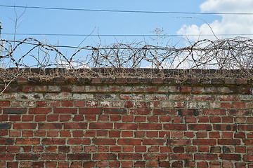 Image showing Barbed wire on top of a brick wall.