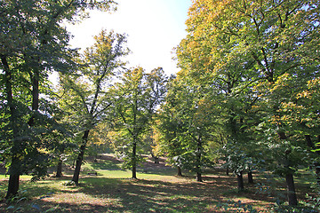 Image showing Park Rome