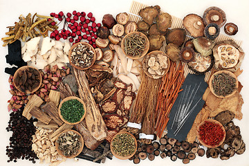 Image showing Traditional Chinese Herbal Medicine