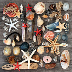 Image showing Treasure of the Sea Abstract 