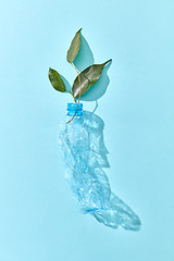 Image showing Green leaf twig in crushed plastic empty bottle.