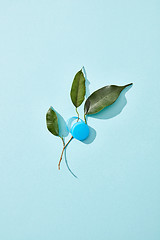 Image showing Plastic bottle cap with green leaf plant on a light blue background.