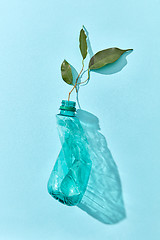 Image showing Green branch grows from crushed plastic bottle.