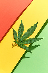 Image showing Green marijuana leaf on a tricolor background with hard shadows.