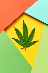 Image showing Geometric frame from colored paper with cannabis leaf.