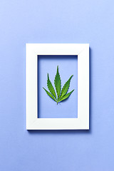 Image showing Plant frame with natural green cannabis leaf on a pastel lavender background.