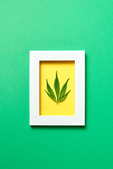Image showing Creative yellow handmade frame with cannabis leaf on a green background.
