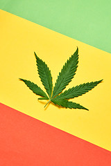 Image showing Fresh green cannabis leaf on a tricolor diagonal paper background.