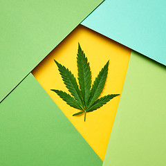 Image showing Marijuana leaf on a paper colored frame background.