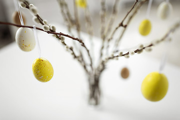 Image showing close up of pussy willow decorated by easter eggs