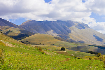 Image showing Fields in Castelluccio di Norcia, Umbria, Italy.