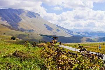 Image showing Fields in Castelluccio di Norcia, Umbria, Italy.