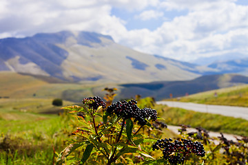 Image showing Fields in Castelluccio di Norcia, Umbria, Italy.