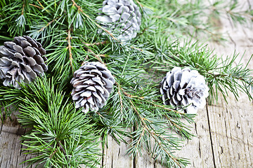 Image showing  Evergreen fir tree branch and white pine cones closeup on woode