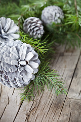 Image showing Evergreen fir tree branch and white pine cones closeup on wooden