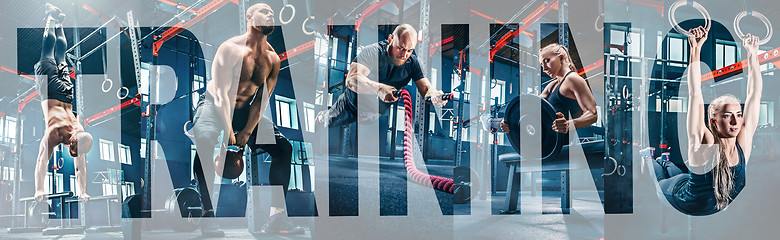 Image showing Collage about exercises in the fitness gym.