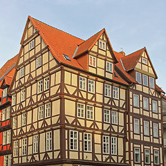 Image showing Timber Framing