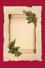 Image showing  Scroll on Parchment Paper