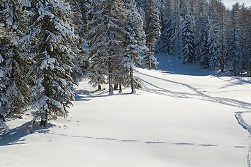 Image showing Winter Snowy Mountain Landscape