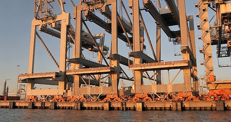 Image showing Cranes in the container terminal in Rotterdam