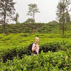 Image showing Active caucasian blonde woman enjoing fresh air and pristine nature while tracking among tea plantaitons near Ella, Sri Lanka. Bacpecking outdoors tourist adventure