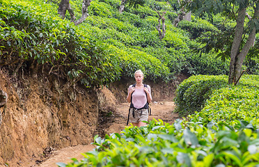 Image showing Active caucasian blonde woman enjoing fresh air and pristine nature while tracking among tea plantaitons near Ella, Sri Lanka. Bacpecking outdoors tourist adventure