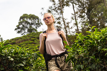 Image showing Active caucasian blonde woman enjoing fresh air and pristine nature while tracking among tea plantaitons near Ella, Sri Lanka. Bacpecking outdoors tourist adventure