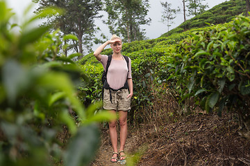 Image showing Active caucasian blonde woman enjoing fresh air and pristine nature while tracking among tea plantaitons near Ella, Sri Lanka. Bacpecking outdoors tourist adventure