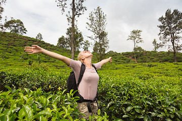 Image showing Active caucasian blonde woman enjoing fresh air and pristine nature while tracking among tea plantaitons near Ella, Sri Lanka. Bacpecking outdoors tourist adventure