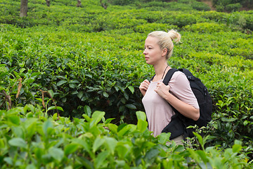 Image showing Active caucasian blonde woman enjoing fresh air and pristine nature while tracking among tea plantaitons near Ella, Sri Lanka. Bacpecking outdoors tourist adventure