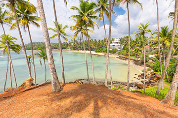 Image showing Tropical beach with exotic palm trees and wooden boats on the sand in Mirissa, Sri Lanka