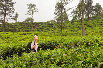 Image showing Active caucasian blonde woman enjoing fresh air and pristine nature while tracking among tea plantaitons near Ella, Sri Lanka. Bacpecking outdoors tourist adventure